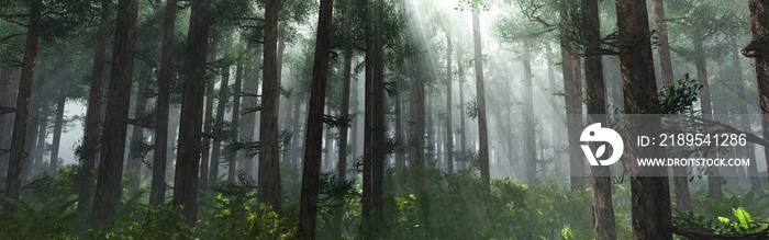 Trees in the fog. The smoke in the forest in the morning. A misty morning among the trees. 3D render