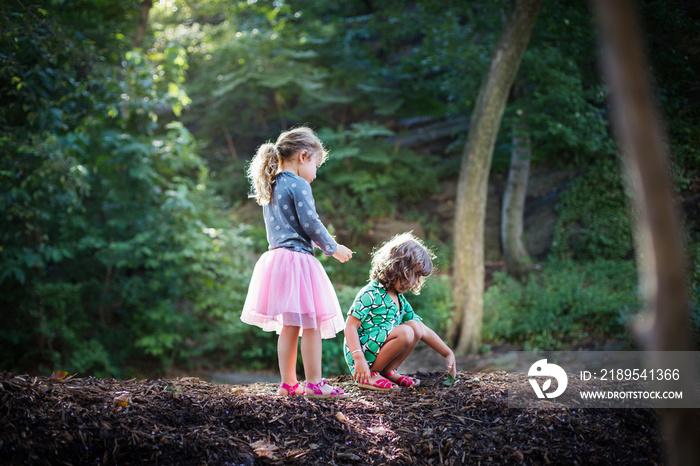 Girls (2-3, 4-5) looking at leaf in forest