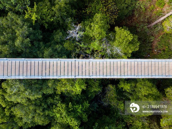 Suspension bridge surrounded by lush green forest - Top down aerial view