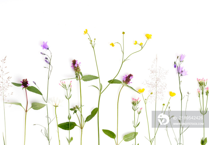 Floral pattern with wildflowers, green leaves, branches on white background. Flat lay, top view.