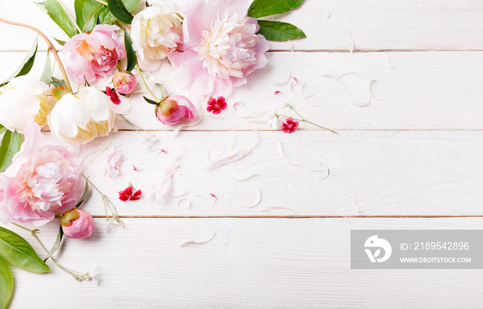 Delicate white pink peony with petals flowers and white ribbon on wooden board. Overhead top view, f