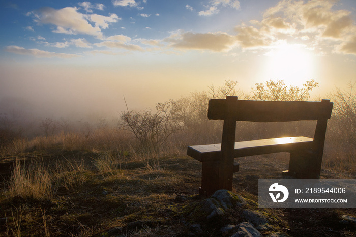 Lonely bench in a foggy forest at sunset