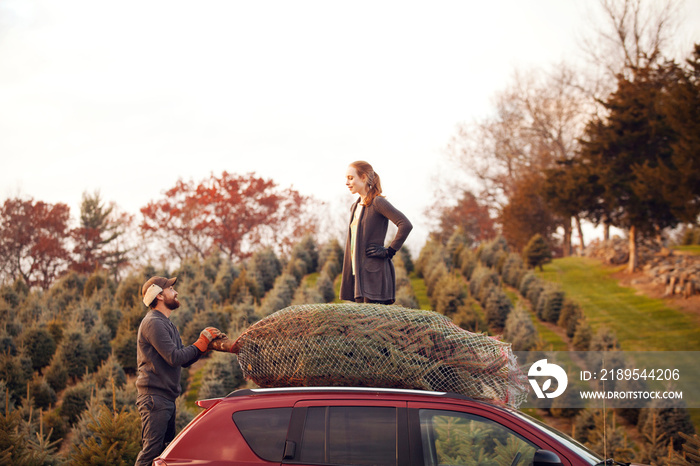 Young couple keeping spruce tree on car roof