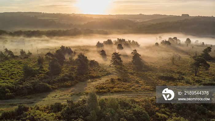 Beautiful sunrise image of drone aerial view of Autumn Fall forest scene landscape