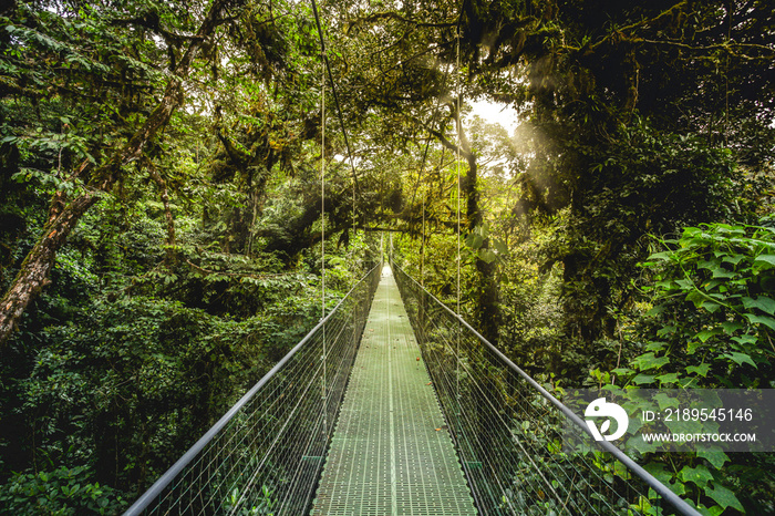 jungle forest close to arenal volcano national park, costa rica