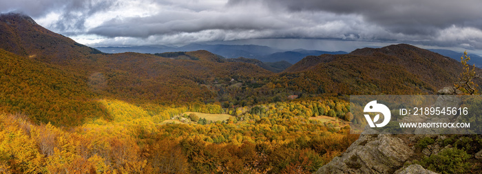 Nice beech forest in autumn in Spain, mountain Montseny