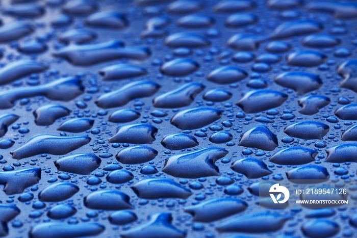 Dark blue background, crystal clear water drops (raindrops). Abstract natural pattern, wallpaper, co