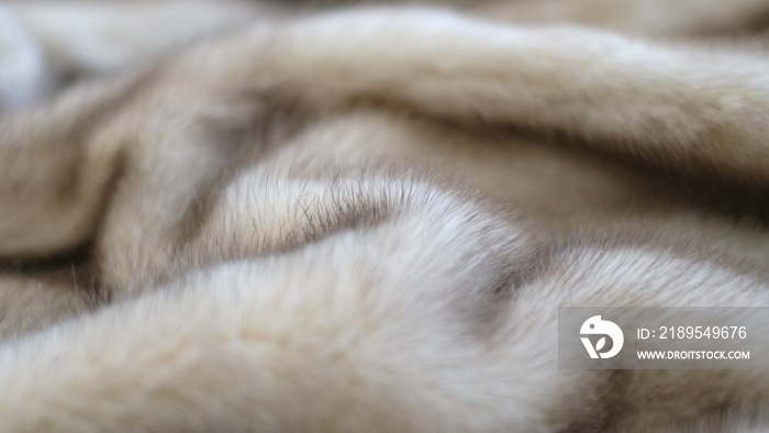 defocus mink fur texture close-up background. closeup. soft focus, selective focus