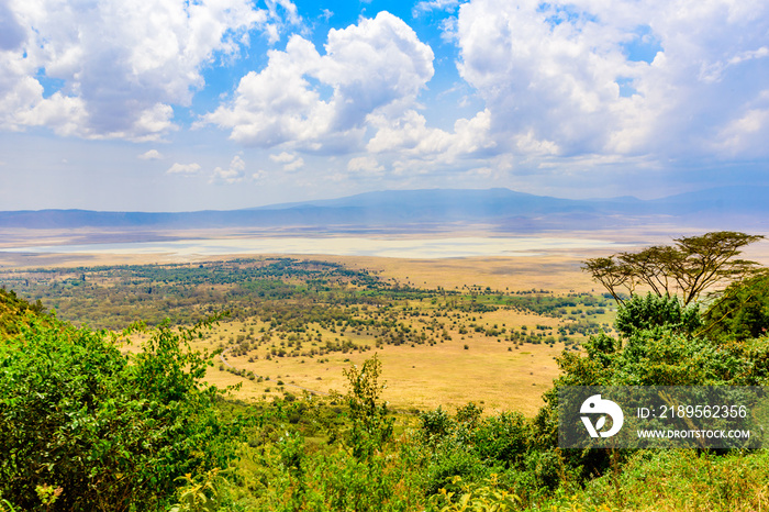 Ngorongoro火山口国家公园和马加迪湖全景。非洲萨凡纳野生动物园之旅