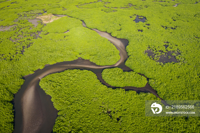 Aerial view of mangrove forest in the  Saloum Delta National Park, Joal Fadiout, Senegal. Photo made