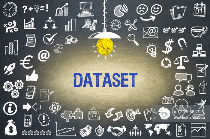 Dataset