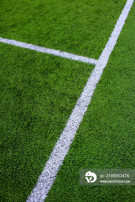 人造绿草足球场上的白线标记