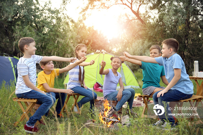 Children roasting marshmallow on fire at summer camp