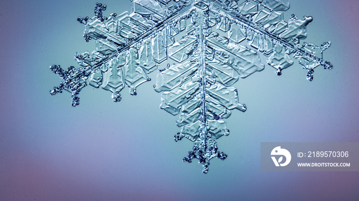 Beautiful snow flake on a light blue background close up