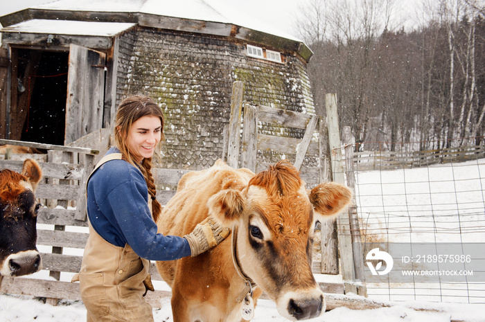 Woman stroking cow on snow covered field