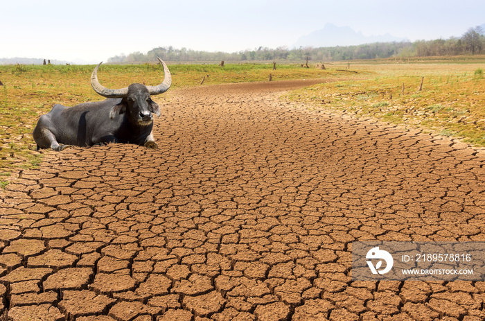 全球变暖，干旱。