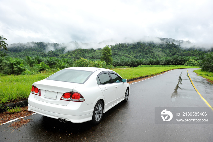 雨季湿路上的白色汽车