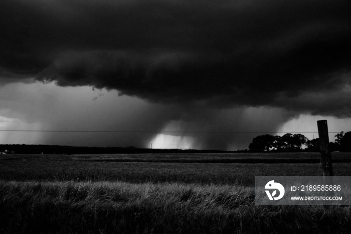 北卡罗来纳州罗利市一个农场田野上即将到来的雷暴的黑白画面
