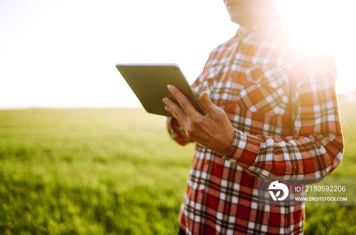 Farmer with a  digital tablet in his hands, checks the condition of young wheat in the field. Copy  