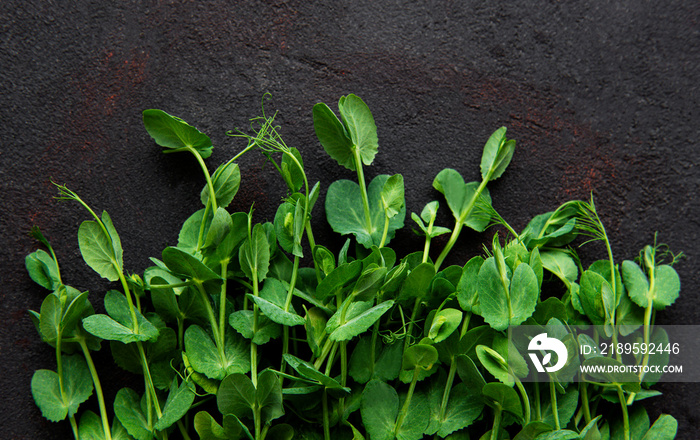 Homegrown pea shoots on a black concrete background