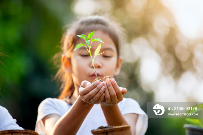 可爱的亚洲小女孩抱着一棵小树，在花园里的回收纤维盆里种植，玩得很开心