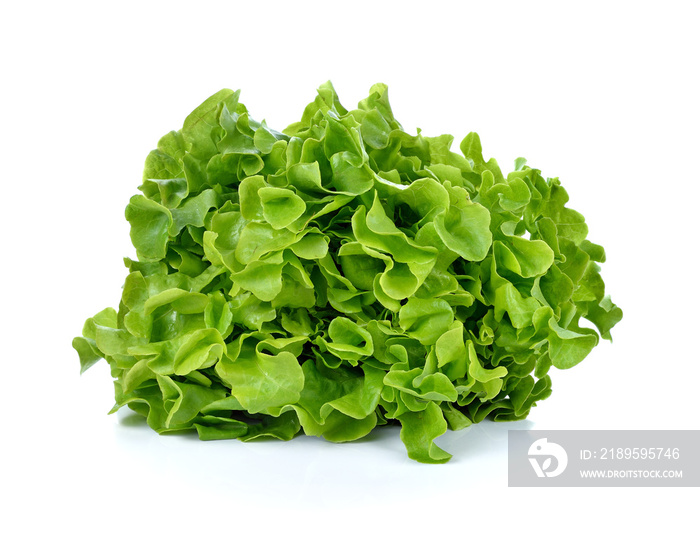 Fresh salad lettuce isolated on white