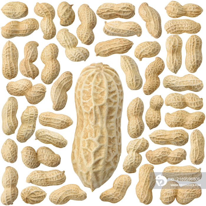 Isolated shelled peanuts. Collection of whole raw peanuts isolated on white background