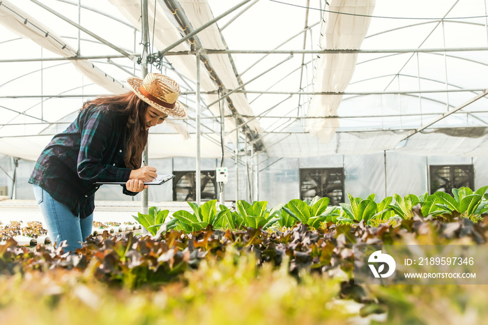 Farmers , Business women working on the field, non-toxic farms inspect and take care of every step t