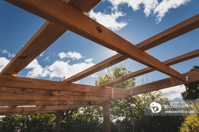 under construction garden pergola with wooden structure in sunny backyard surrounded by tropical pla