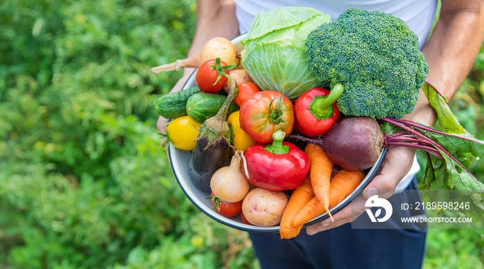 Man farmer with homemade vegetables in his hands. Selective focus.