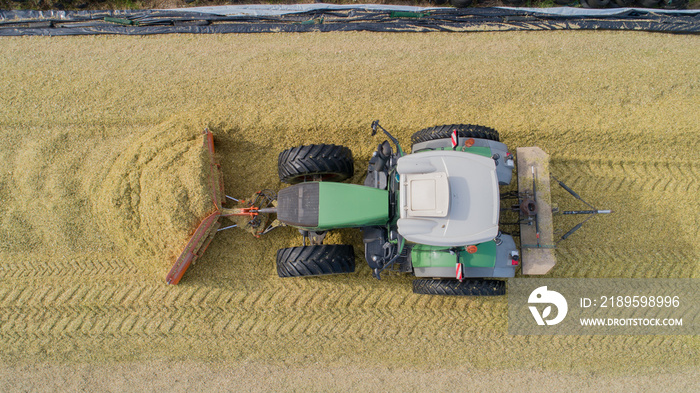 Maisernte, Mais Silage Haufen mit Traktor festfahren