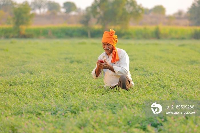 Indian farmer using mobile phone at chickpea field