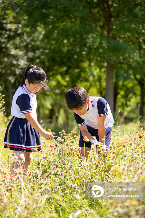 快乐的小学生在户外探索自然