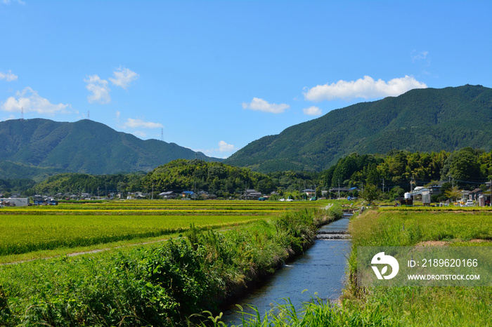 你可以在日本福冈市的乡村看到小溪和稻田的景色。这就是