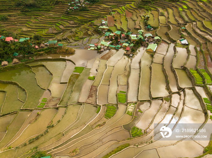 Banaue/稻田全景/菲律宾