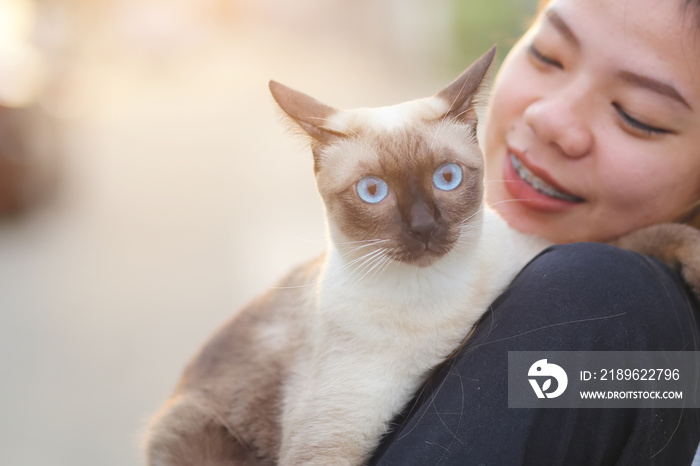 亚洲女人在日落的花园里和猫玩耍。亚洲漂亮女孩在玩暹罗