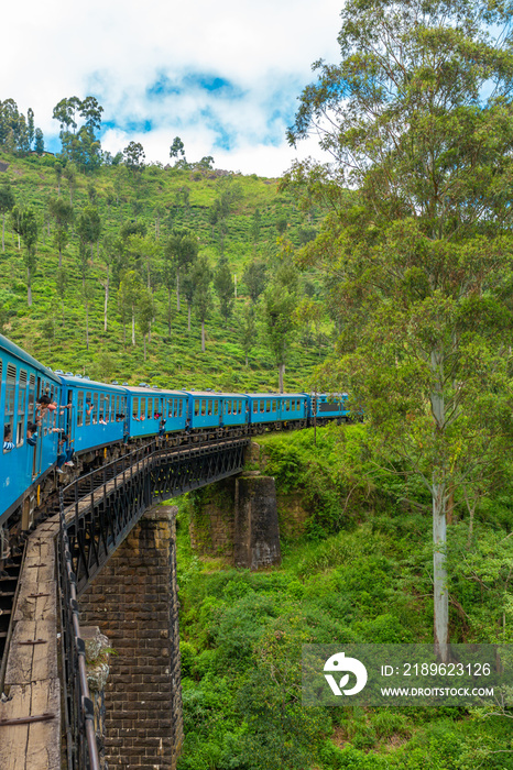 一列蓝色客运列车在斯里兰卡丛林中穿行