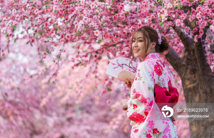 穿着浴衣的女人拿着折扇，看着樱花或樱花盛开