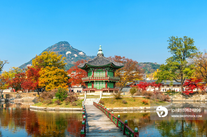 秋天的奈江山国家公园，韩国