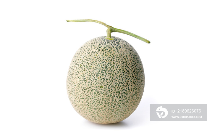 メロン　Cantaloupe melons