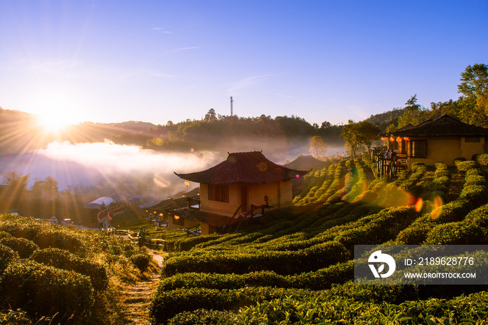 日出在Lee wine Rak Thai，Ban Rak Thai-一个中国定居点，Mae Hong Son，泰国