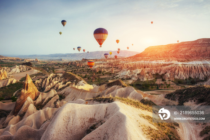 Colorful hot air balloons flying over Red valley at Cappadocia, 