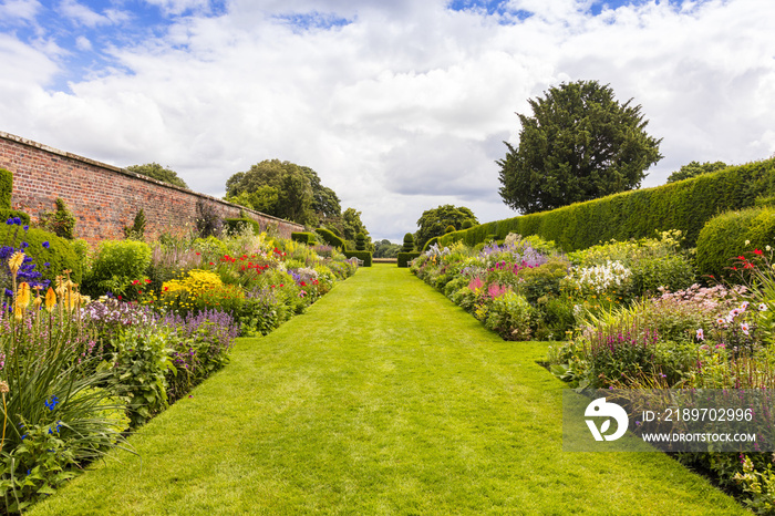 Herbaceous border in a well tended garden with perennial flowering plants.