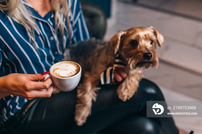 女孩在咖啡馆和狗一起喝咖啡