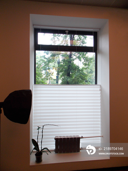 Pleated blinds XL Coulisse, white color, with 50mm fold closeup in the window opening in the interio