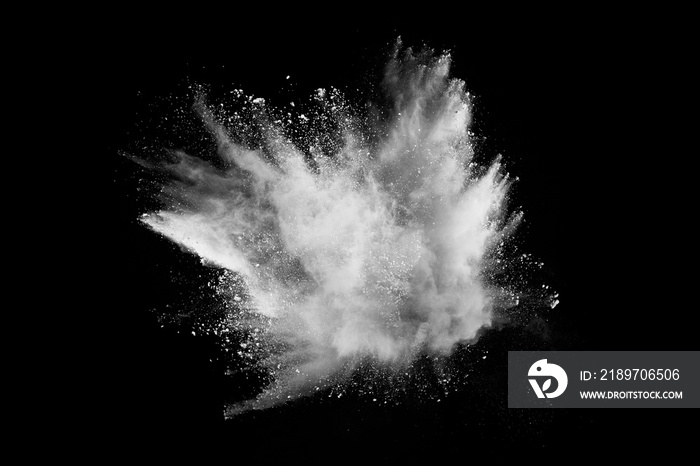 White powder explosion on black background. Colored cloud. Colorful dust explode. Paint Holi.