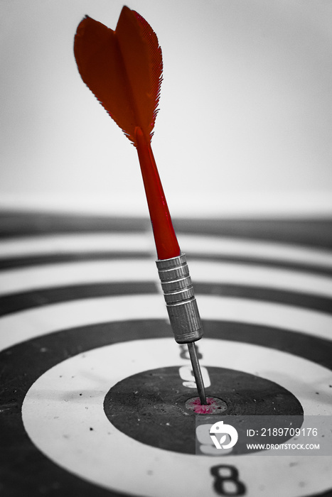 Bullseye is a target of business. Dart is an opportunity and Dartboard is the target and goal. So bo