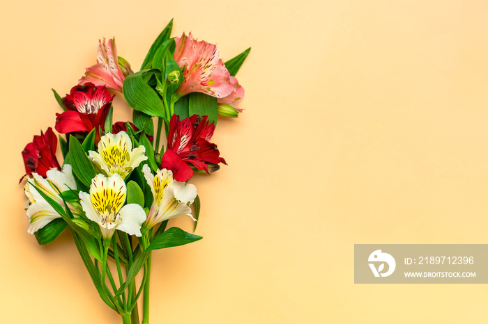 bouquet of alstroemeria flowers isolated on beige background Top view Flat lay Floral holiday card 8