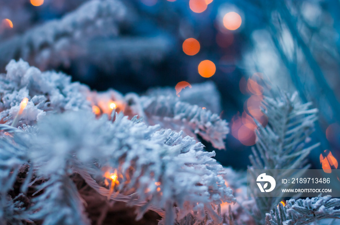 圣诞树和照明装饰选择性聚焦背景