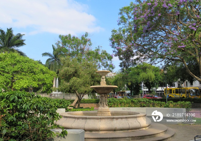 哥斯达黎加圣何塞公园的喷泉